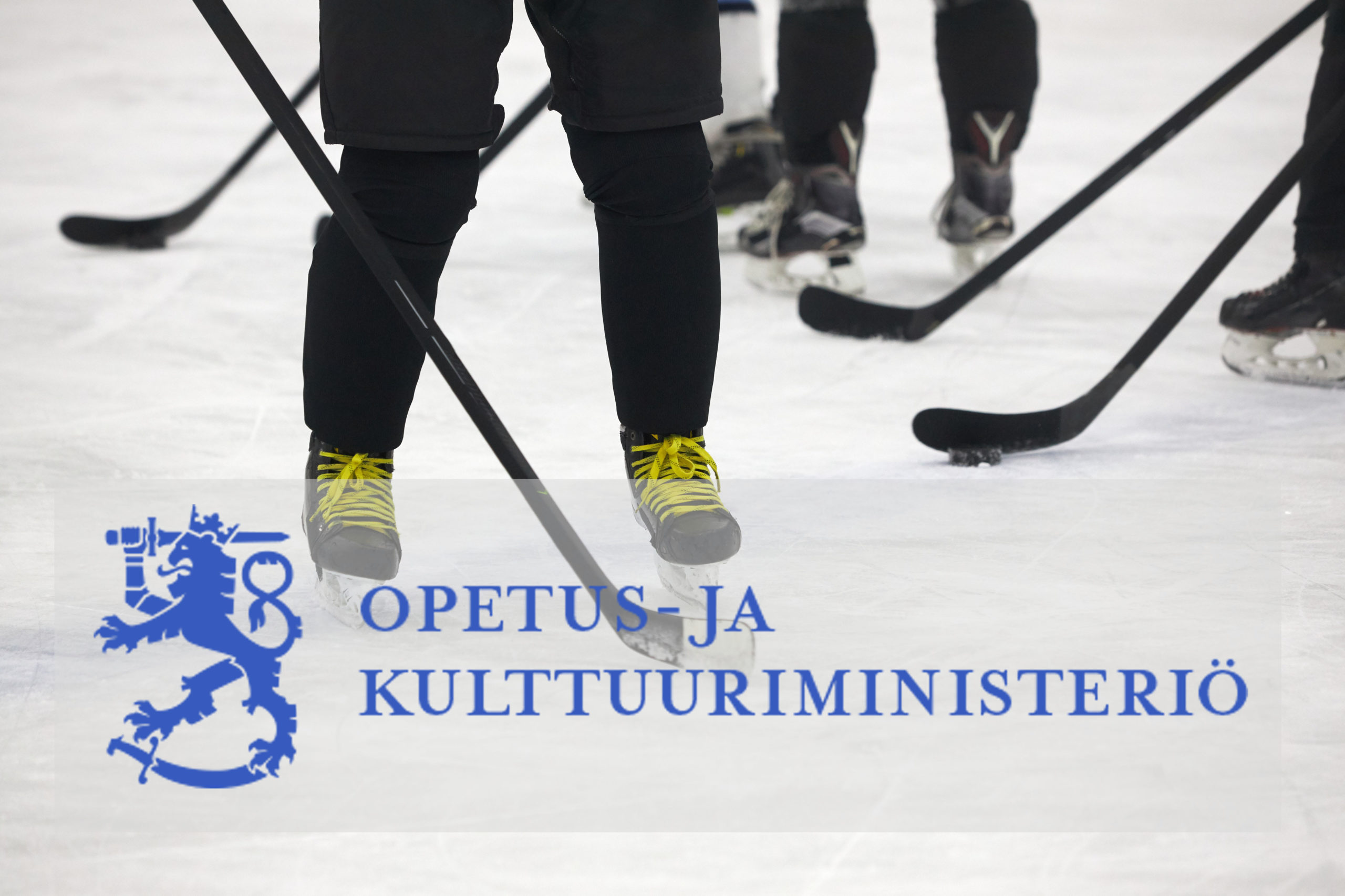 Featured image for “Kaivattu tuulahdus Meri-Lapin jääkiekko rintamalle”